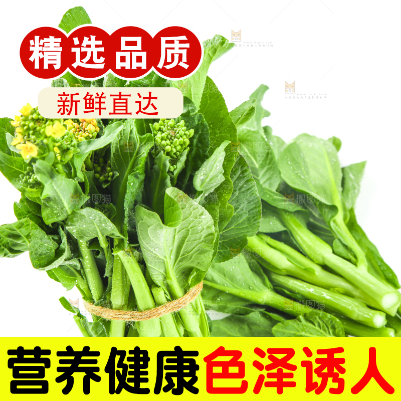 白底上放着青菜薹