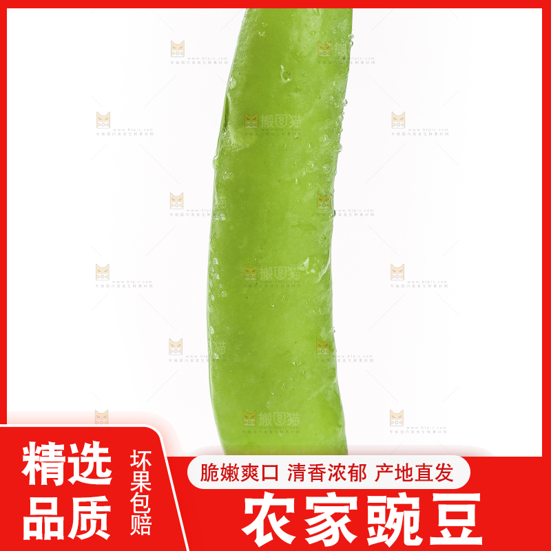 手里拿着豌豆荚