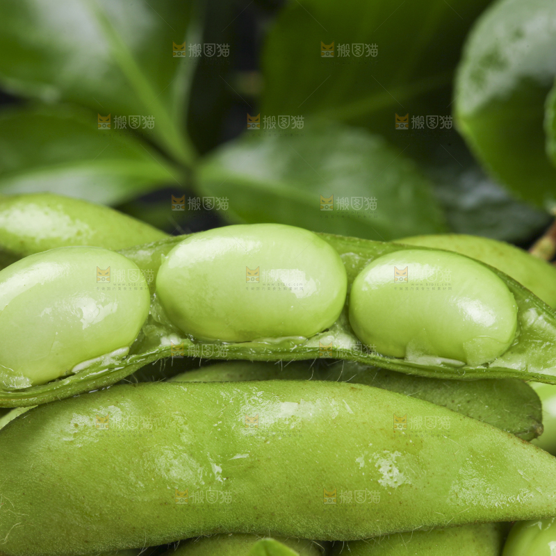 黑底上放着一盘青毛豆
