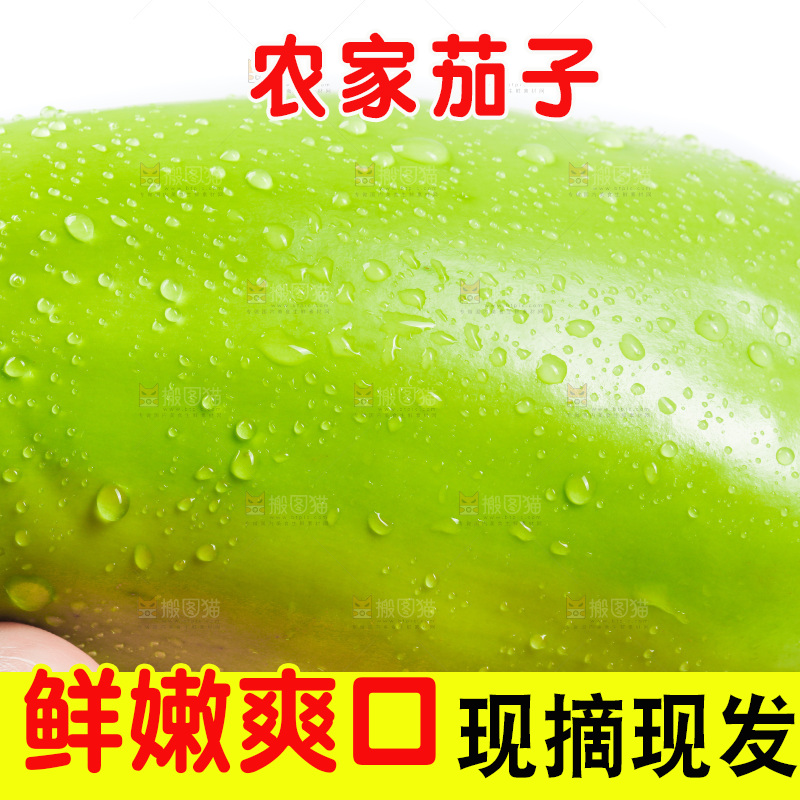 白底上放着青茄子