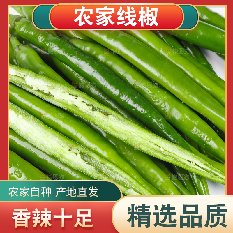 白底上放着线椒