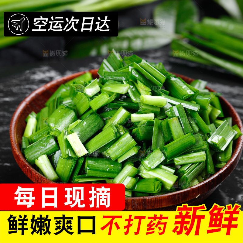 黑底上装着切碎的韭菜