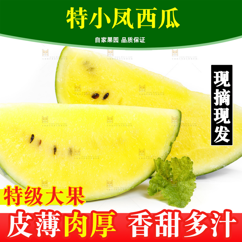 切开的特小凤黄肉西瓜放在白底上