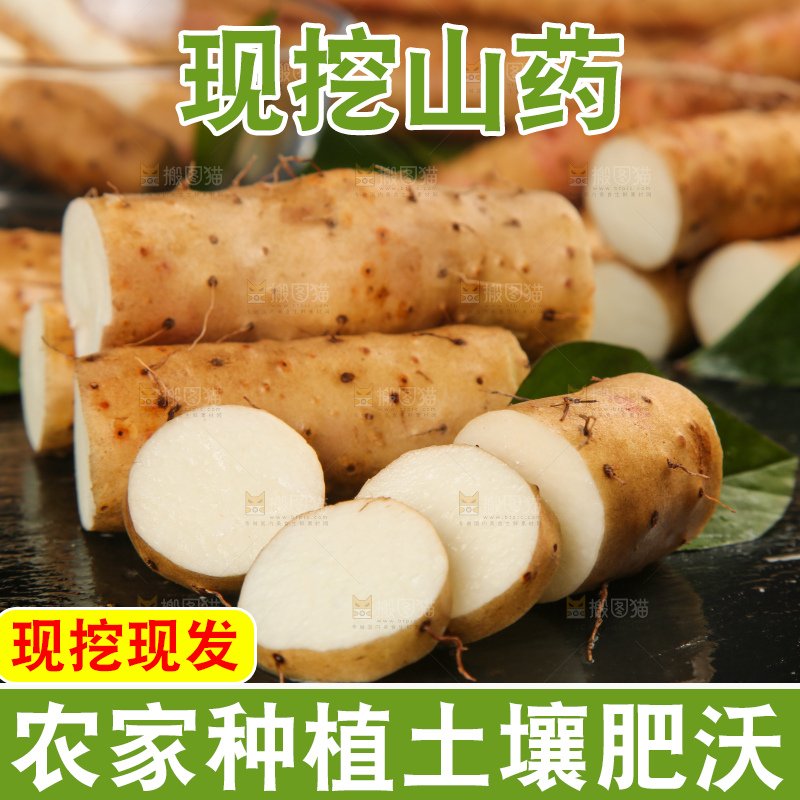 深底上的小白嘴山药