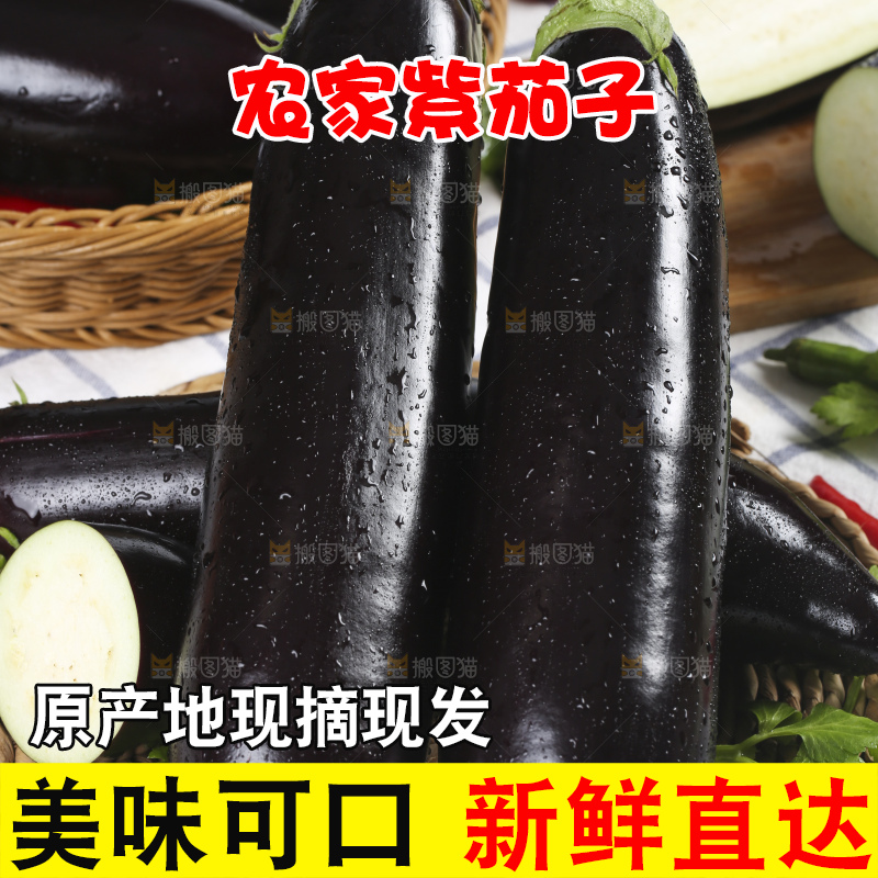 格子底上的新鲜长茄子