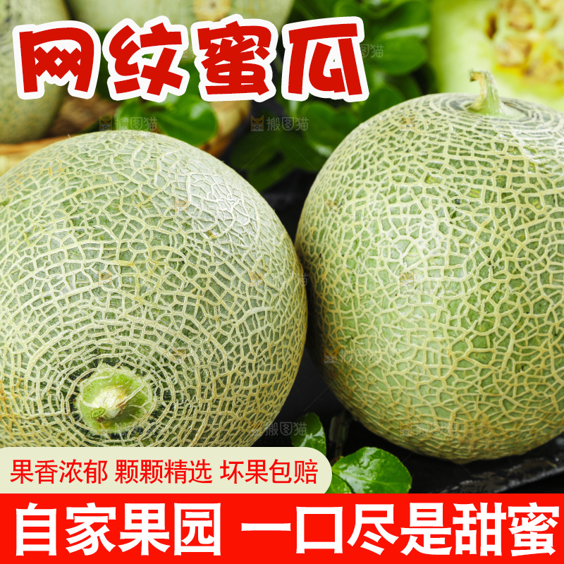 深底上放着新鲜的网纹蜜瓜