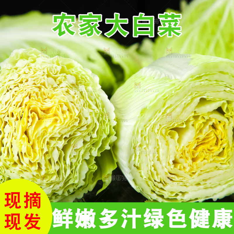 黑底上放着大白菜