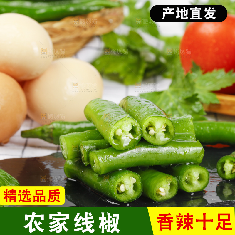 黑底上的青线椒