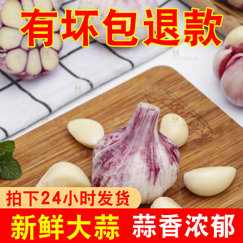 浅底上放着新鲜山东紫皮大蒜头