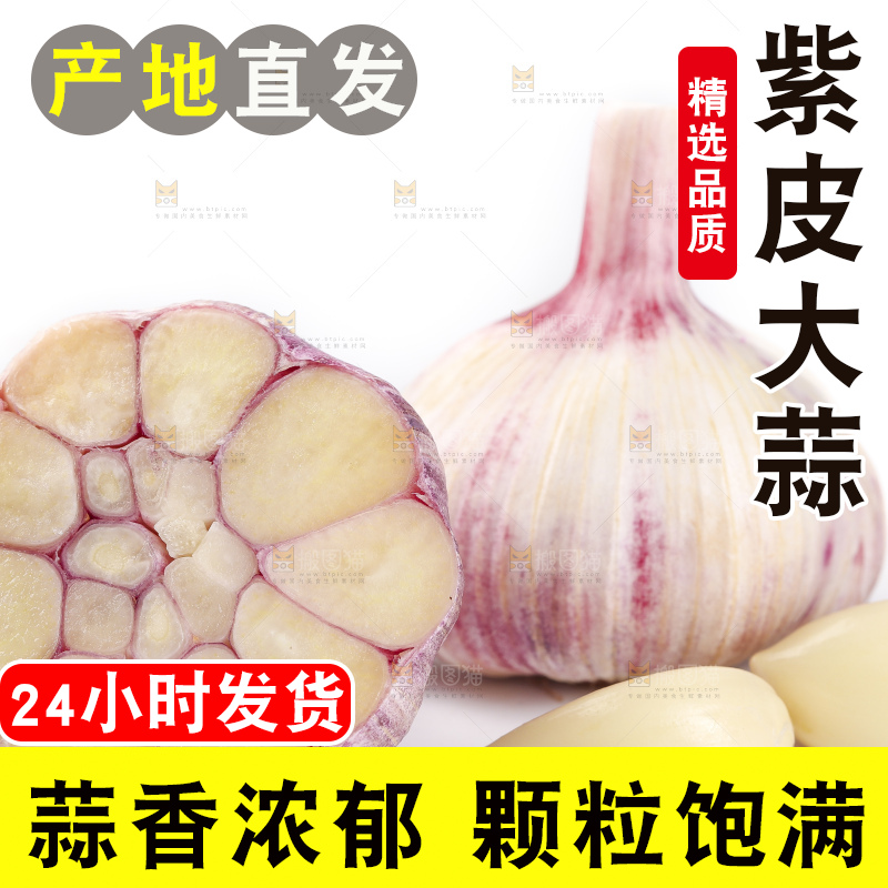 白底上放着新鲜紫皮大蒜头