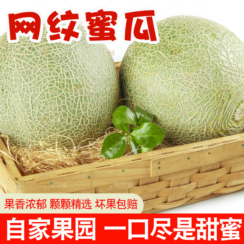 白底上放着新鲜玫珑网纹蜜瓜
