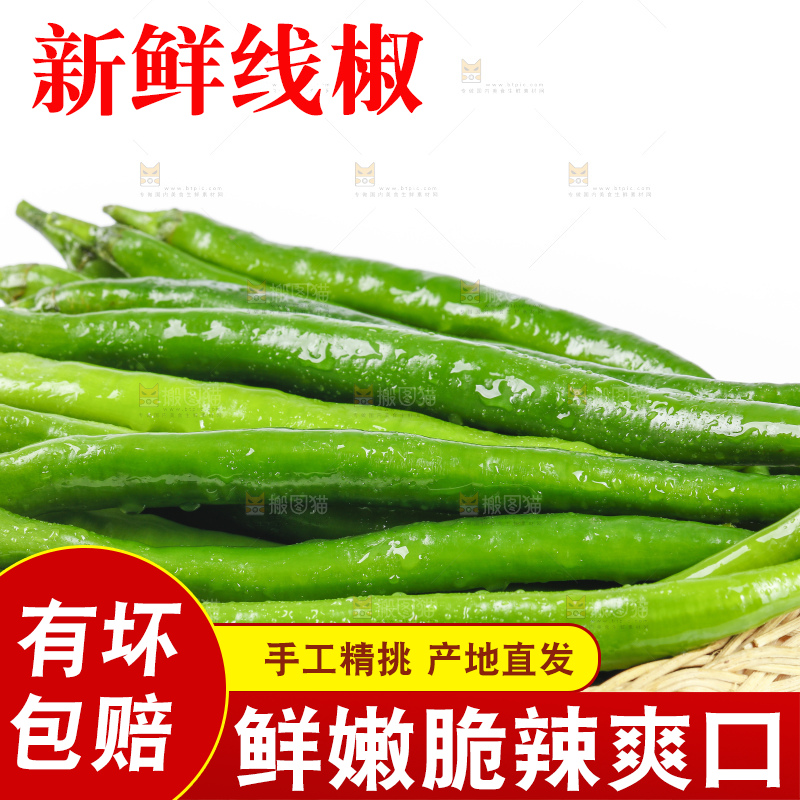 篮子里堆放着青线椒