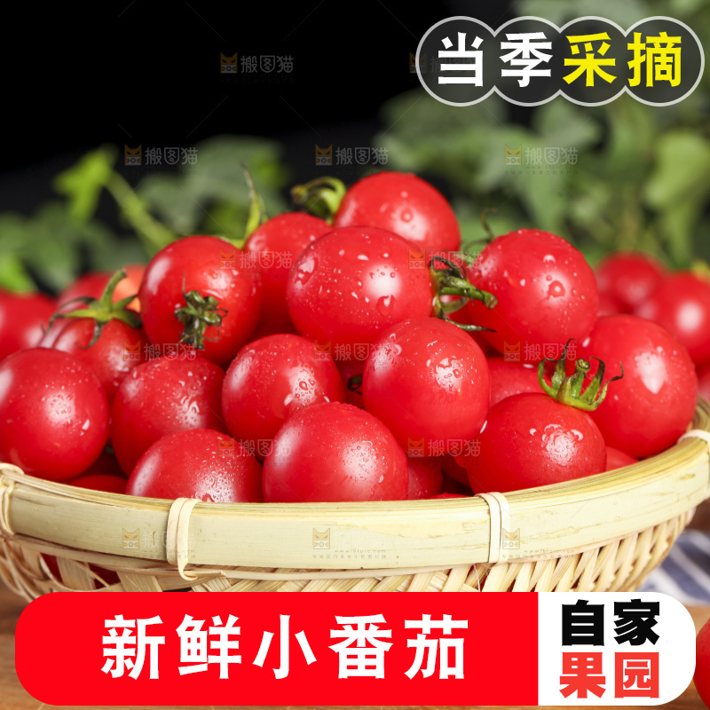 木底上放着一筐新鲜小番茄