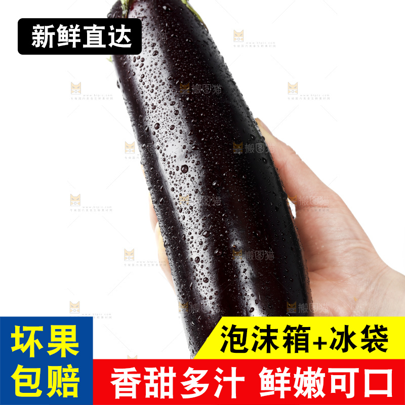 白底上的紫茄子