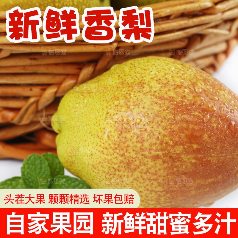 白底上放着一筐新鲜香梨