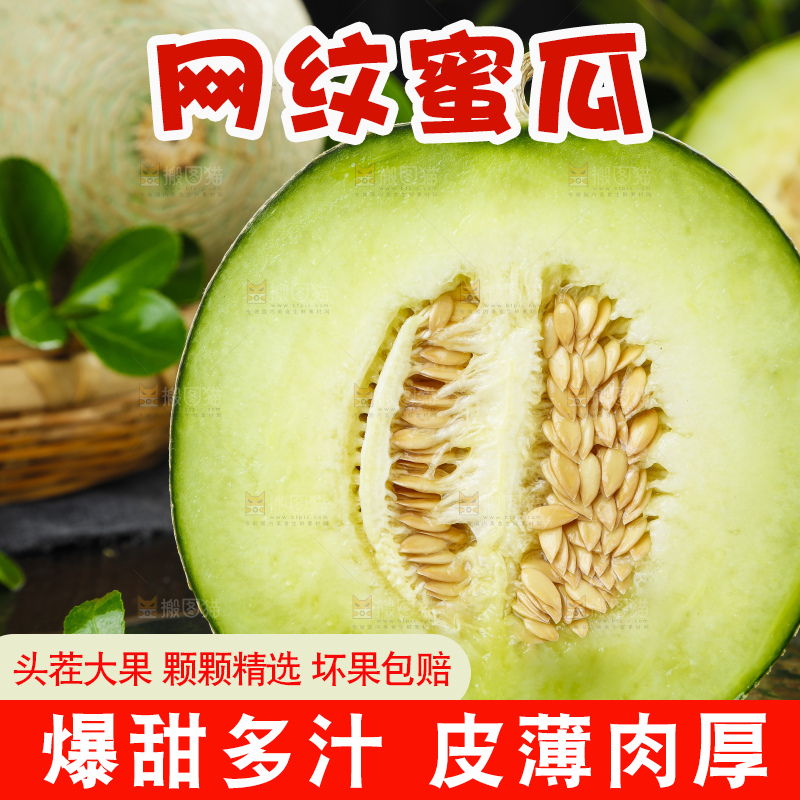 深底上放着切开的新鲜的网纹蜜瓜