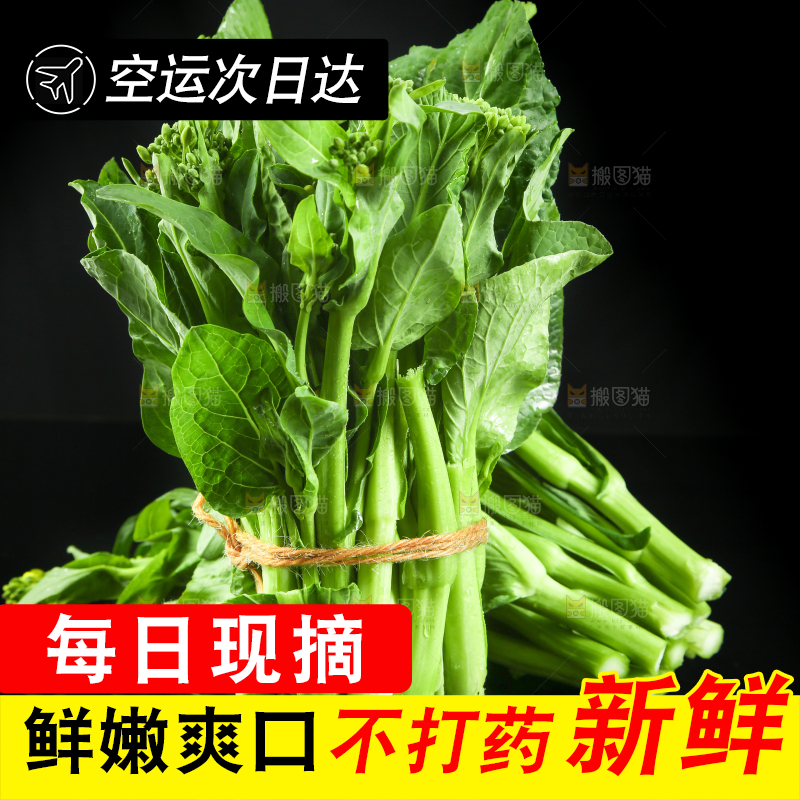 黑底上放着菜薹