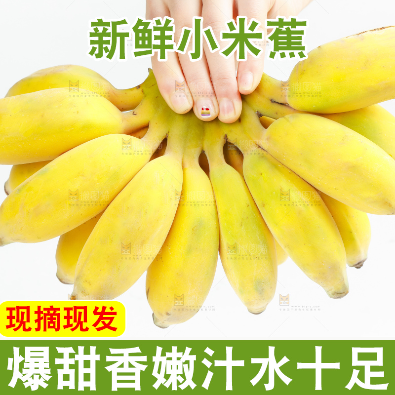 手拿着一串广西苹果蕉