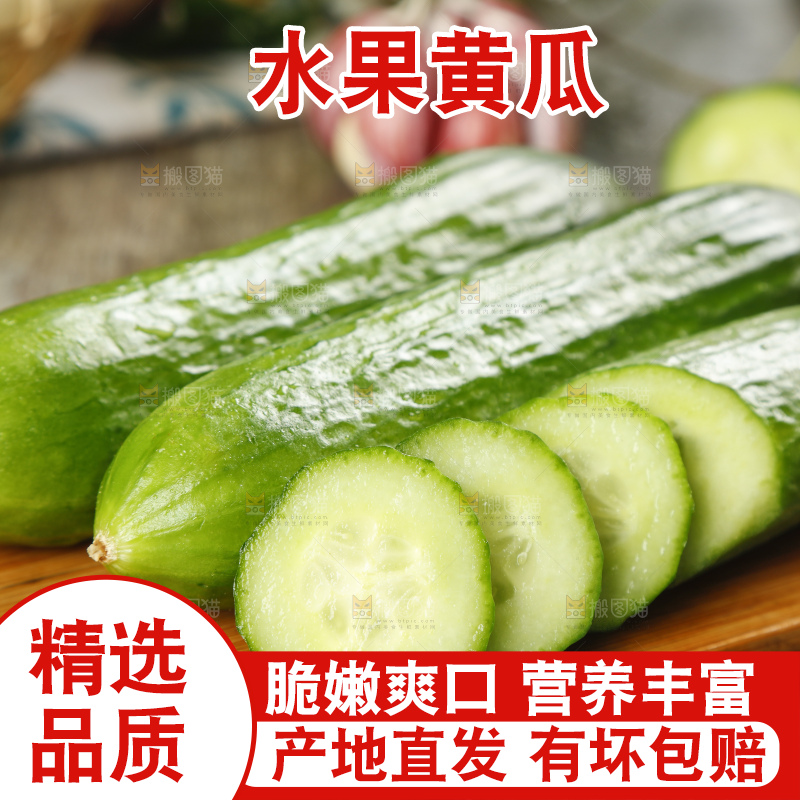 新鲜的山东水果黄瓜放在木板上
