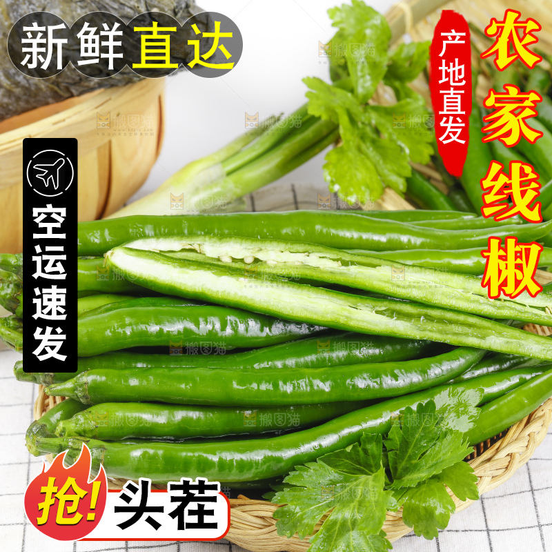 篮子里堆放着青线椒