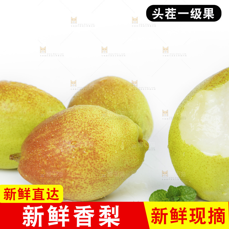 白底上放着新鲜库尔勒全母梨