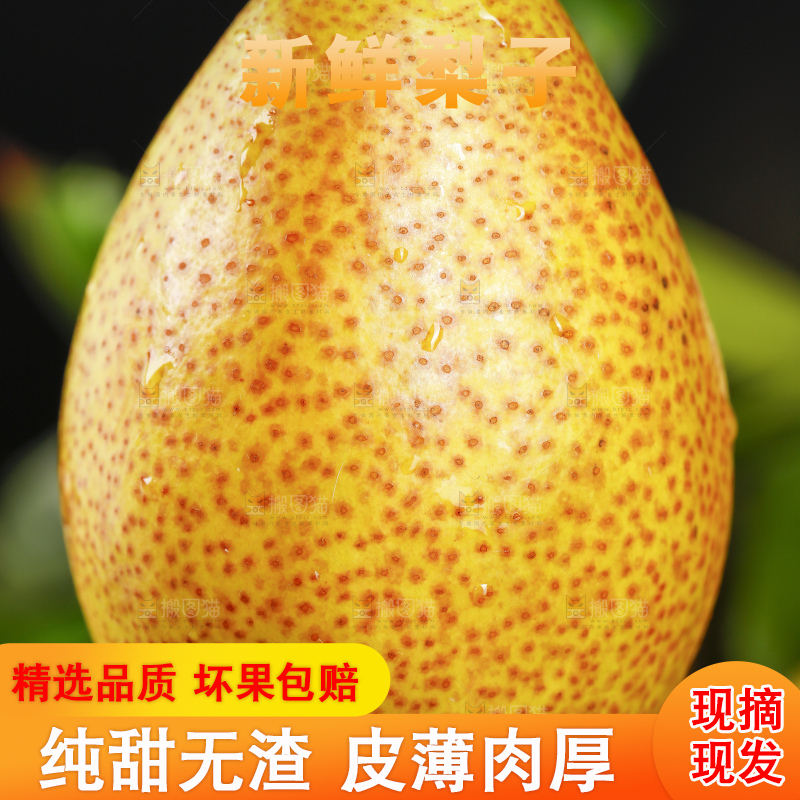 手拿新鲜红香酥梨