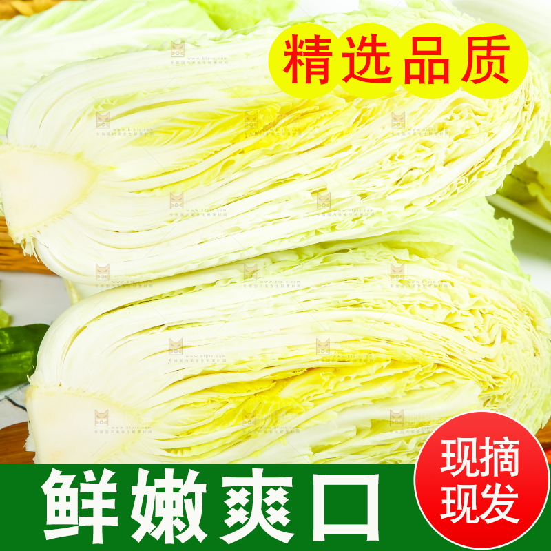 格子底上放着大白菜