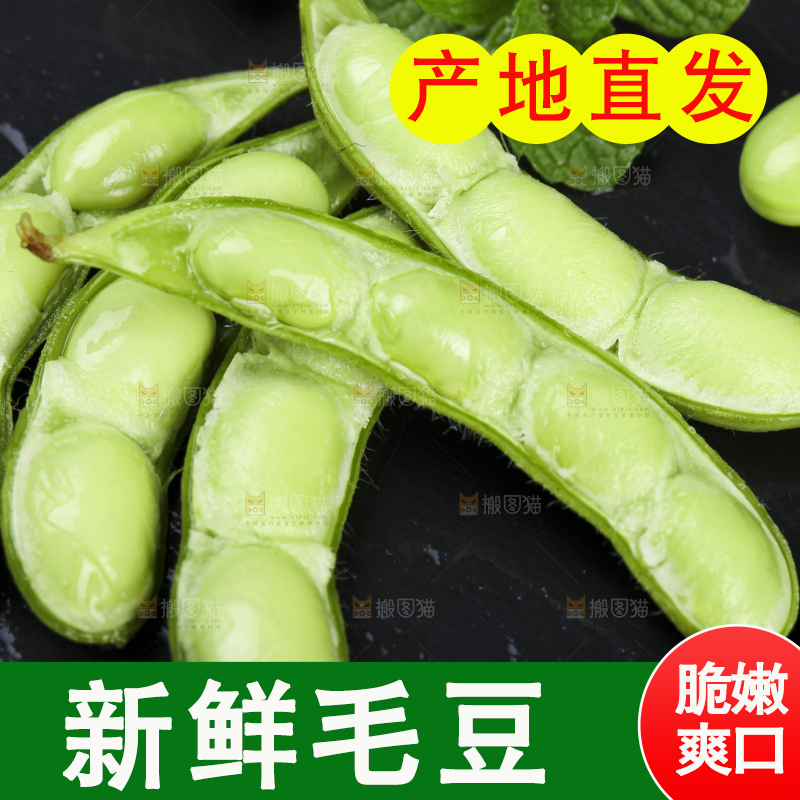 黑底上放着剥皮的云南毛豆