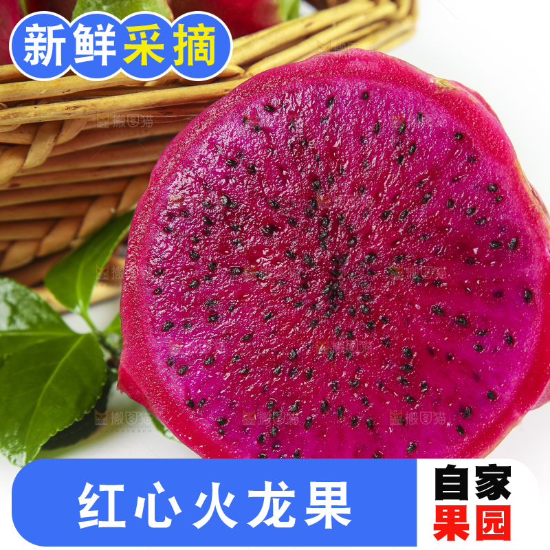 切开的红心火龙果放在白底上