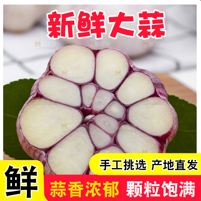 浅底上放着新鲜山东紫皮大蒜头