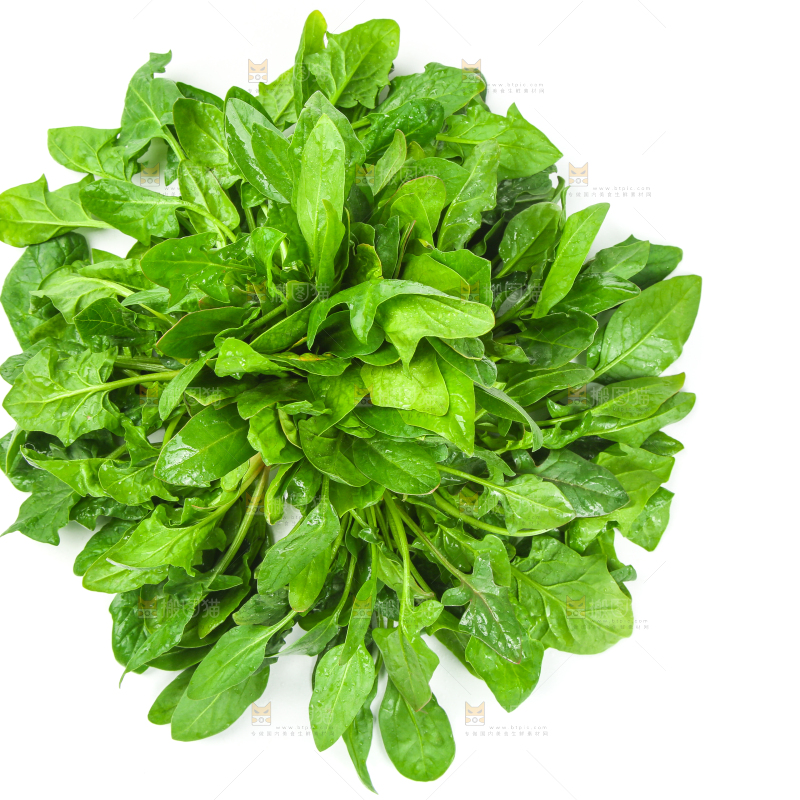 白底上放着新鲜菠菜