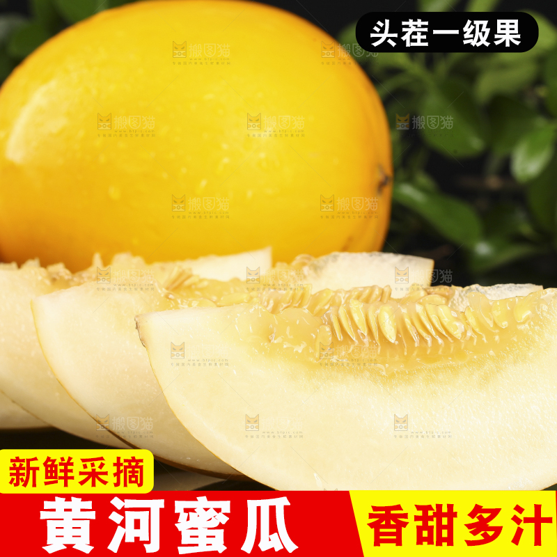 黑底上放着陕西黄河蜜瓜