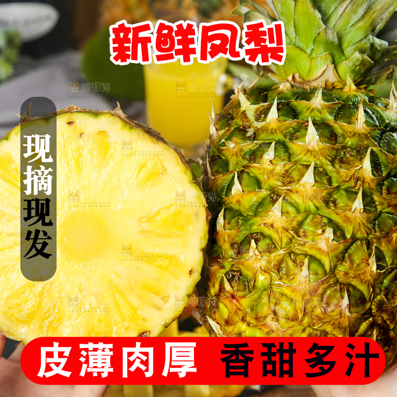 手拿着金钻凤梨
