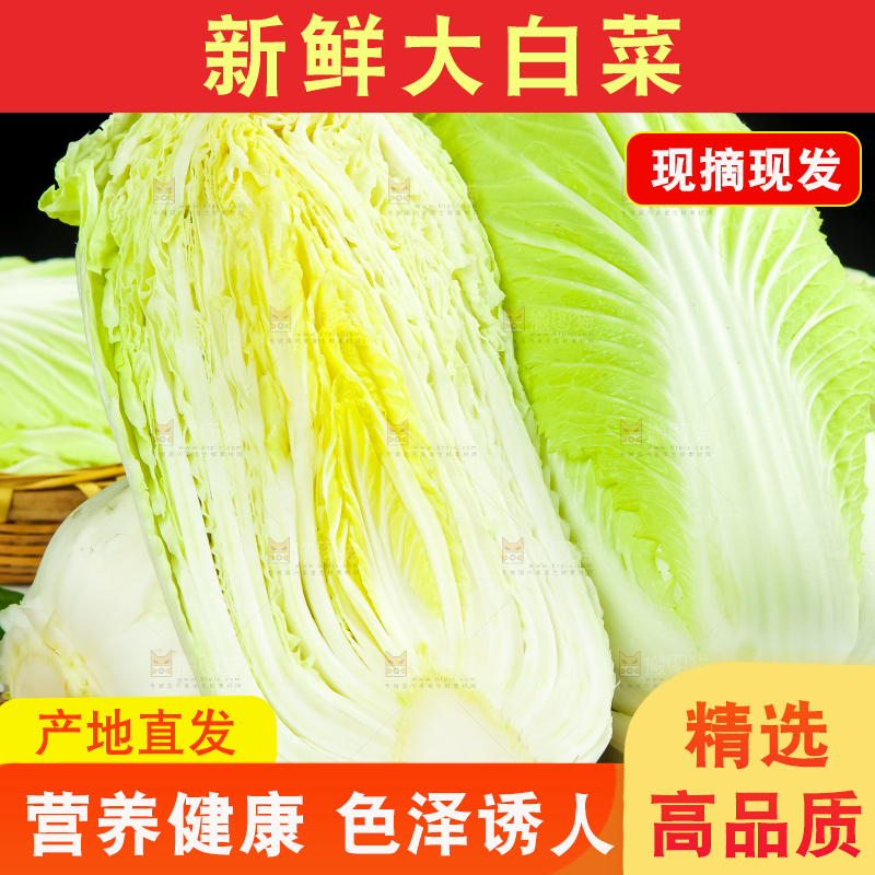 木底上放着大白菜