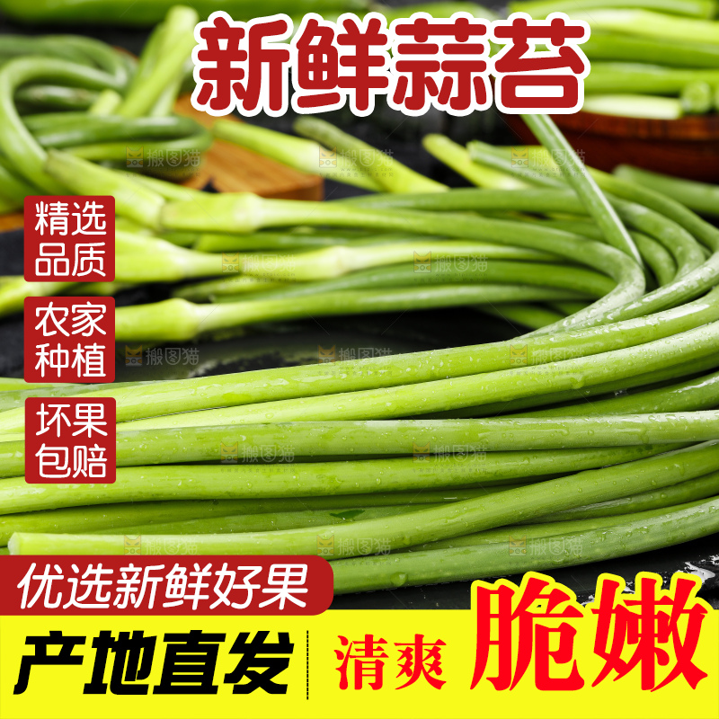 黑底上放着新鲜蒜苔