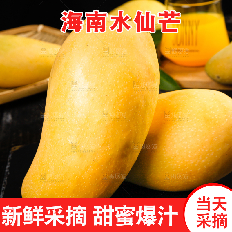 黑底上的水仙芒