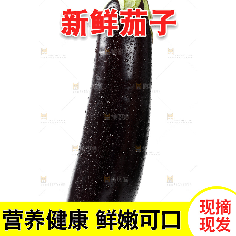 白底上的紫茄子
