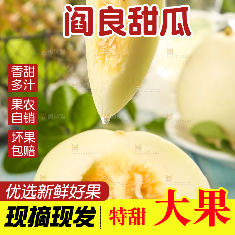 叉子插着阎良甜瓜的果肉