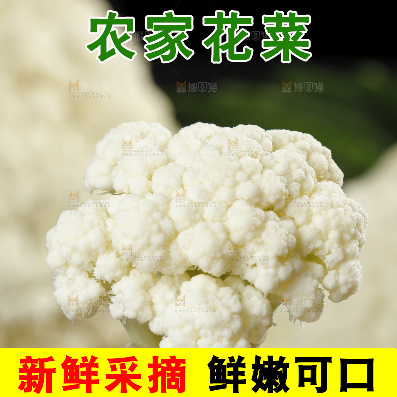 手拿新鲜花椰菜
