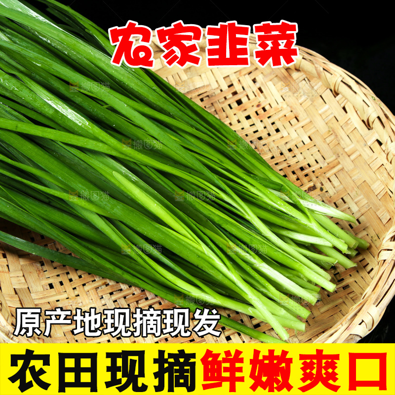 黑底上堆放着韭菜