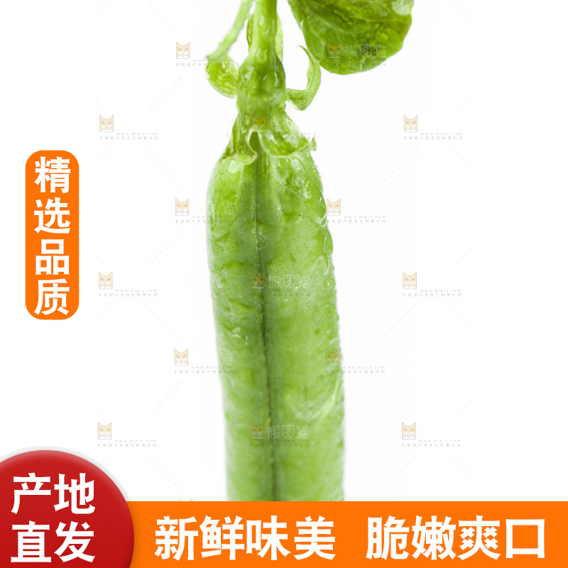 白底上堆放着豌豆