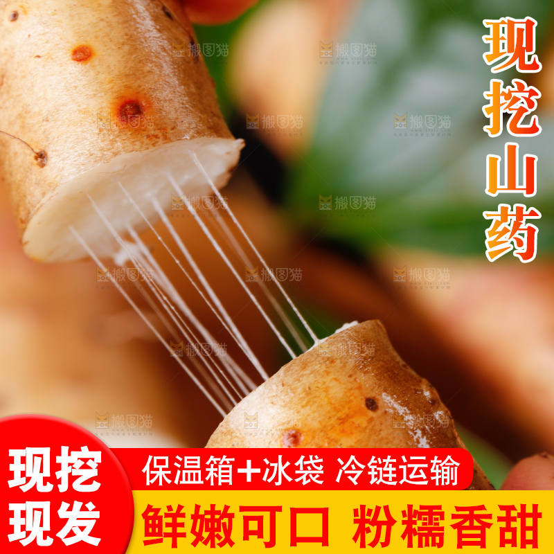 手里拿着小白嘴山药