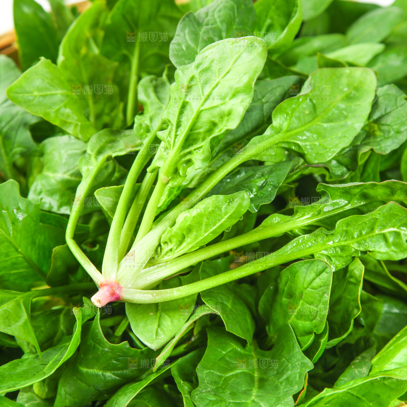 篮子里放着菠菜