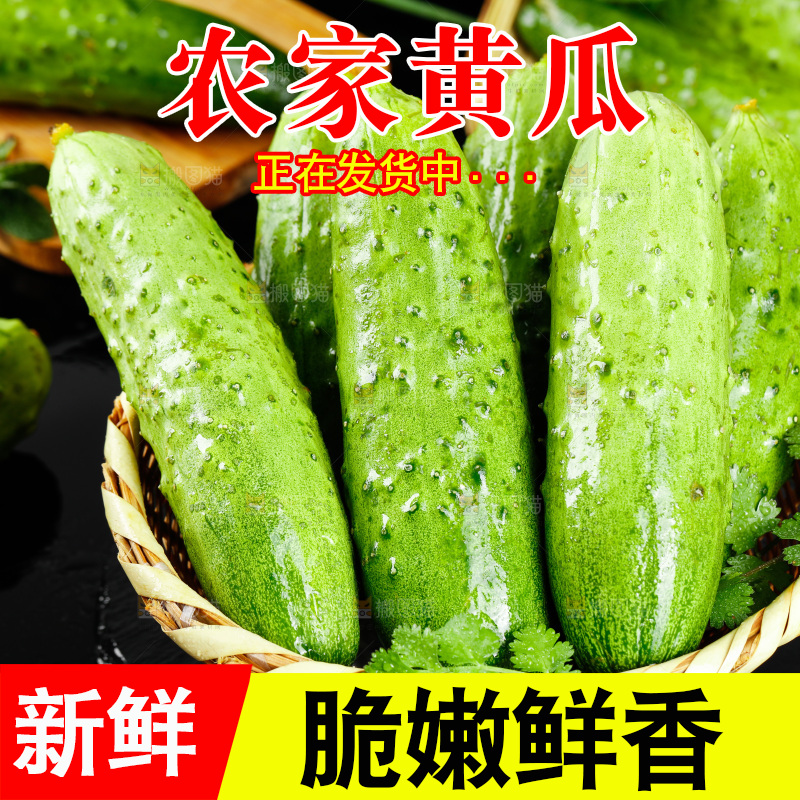 篮子里的黄瓜