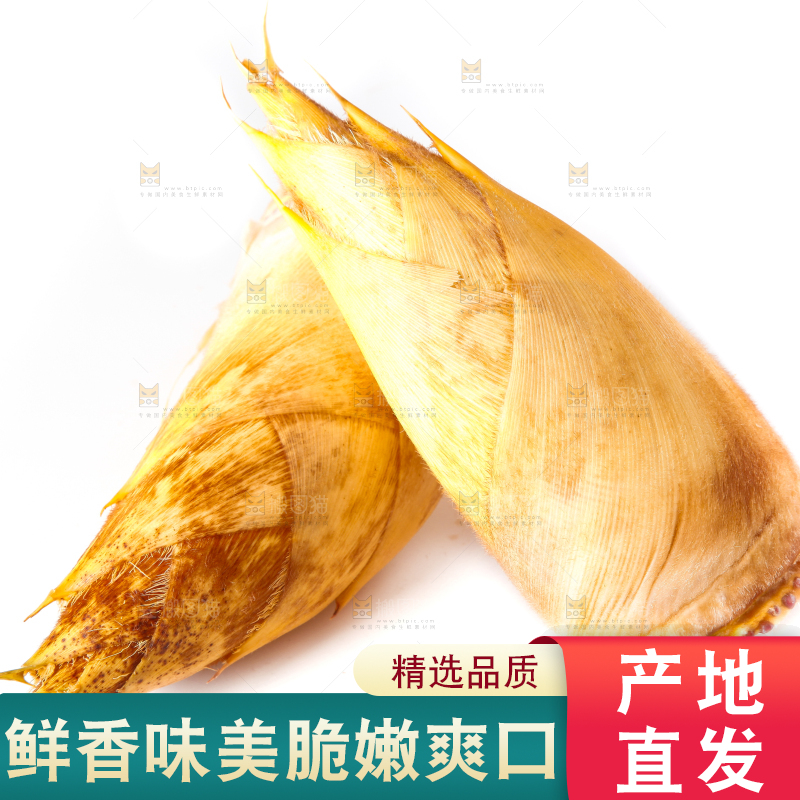白底上摆放着冬笋
