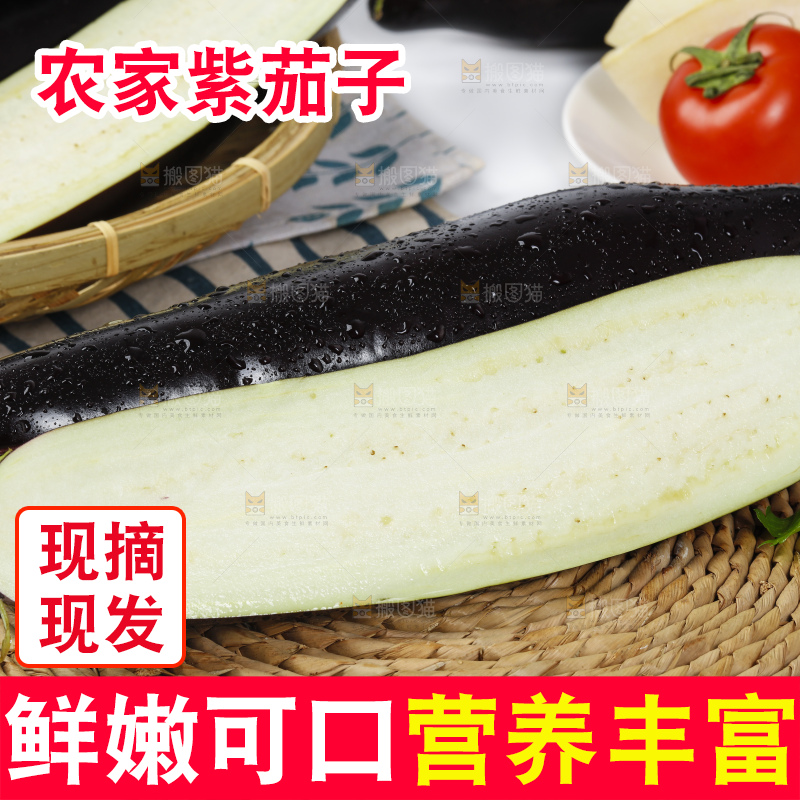 白底上放着新鲜茄子