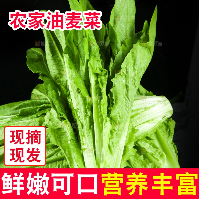 黑底上摆放着油麦菜