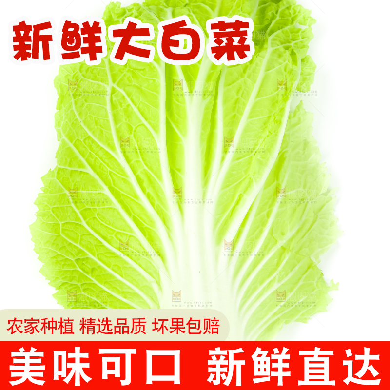 白底上放着白菜