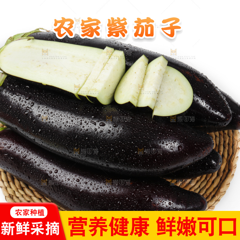 白底上放着新鲜茄子