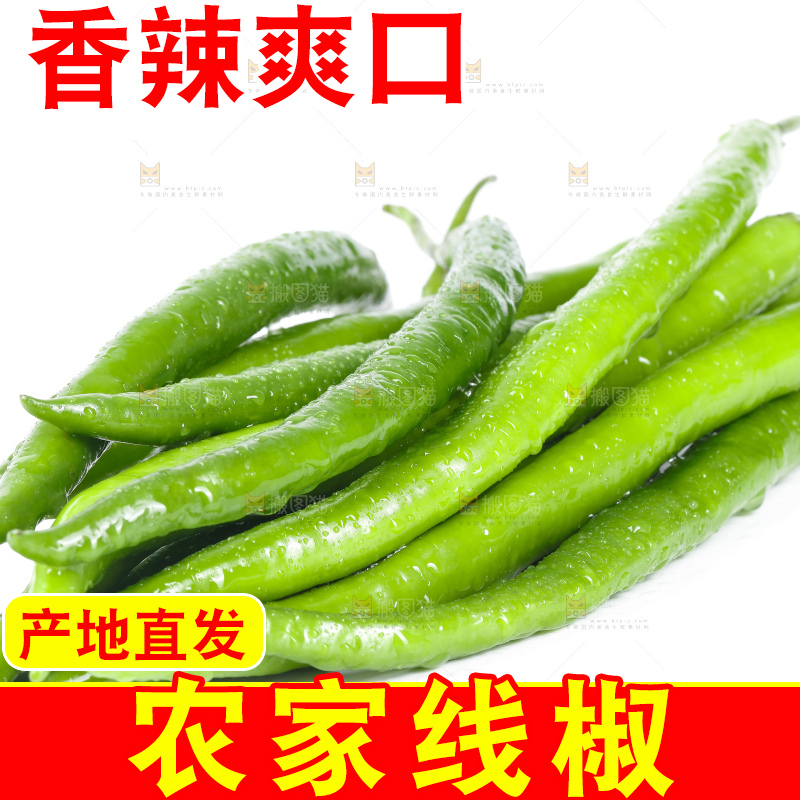 白底上放着线椒